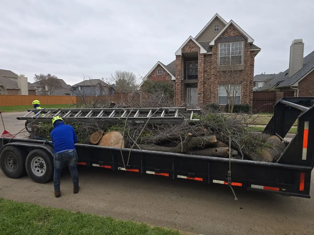 Expert Tree Fertilization with proper safety equipment in Lincoln